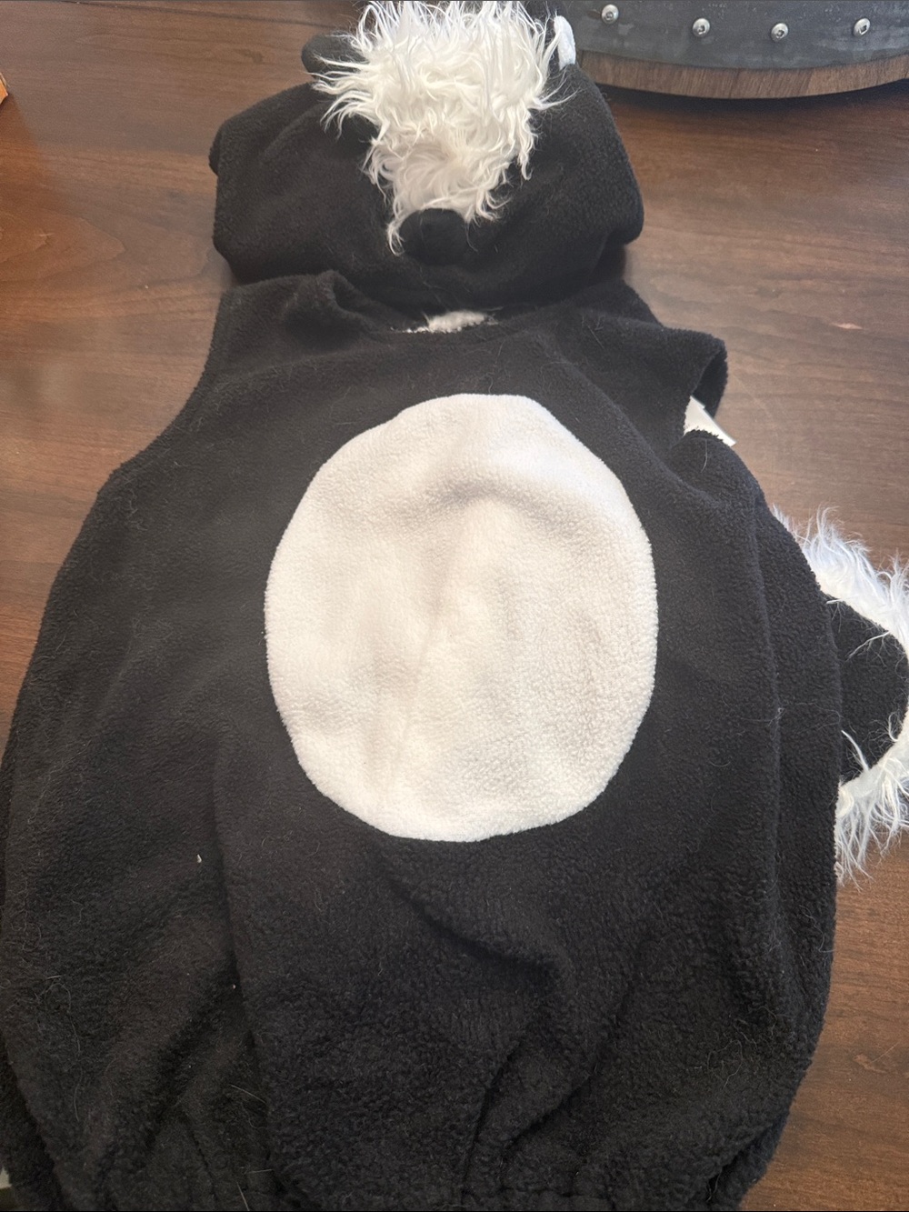 Pottery Barn Kids Skunk Costume